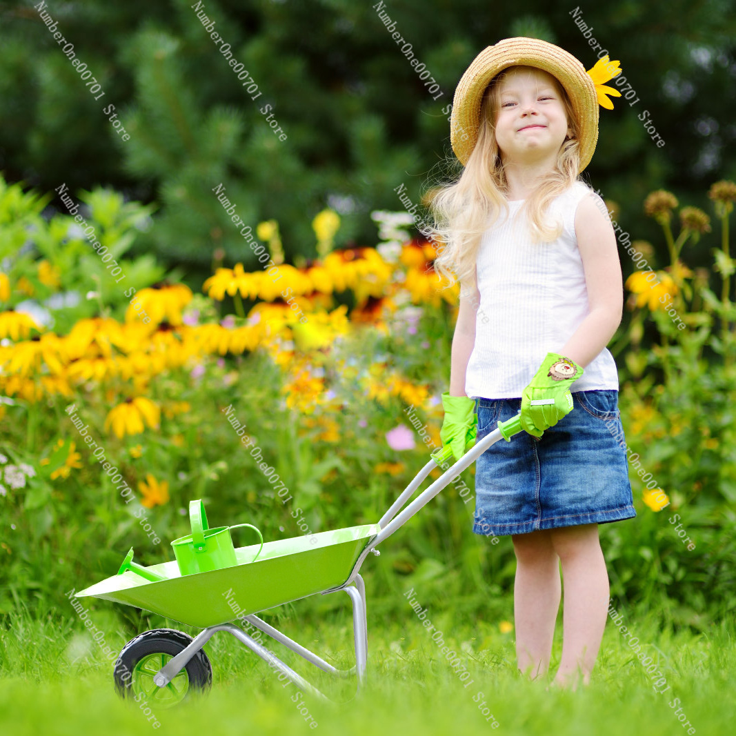 Kids Outdoor Wheelbarrow, Gree - Kids Outdoor Garden 评论和价格